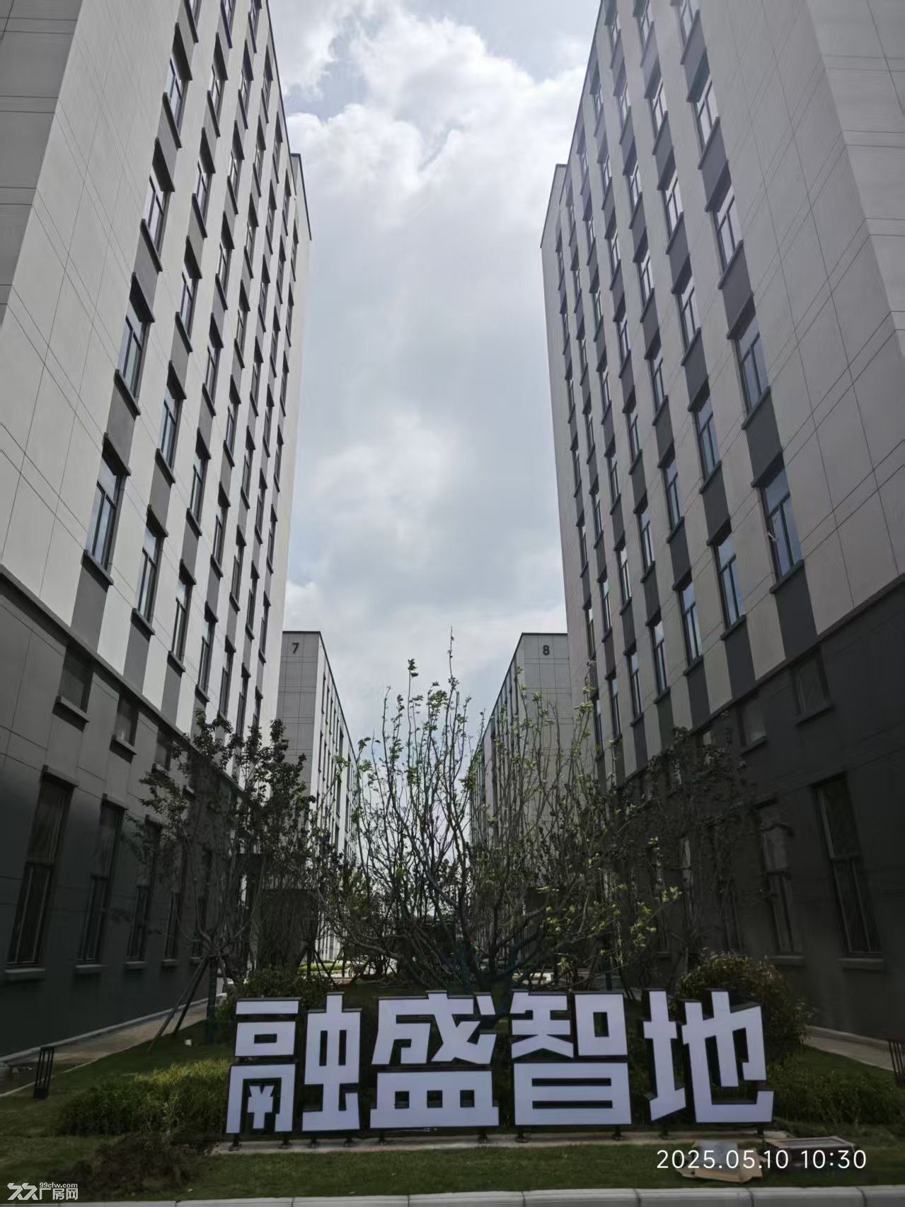 江宁湖熟高标准厂房 三部电梯 可按揭十年 - 3