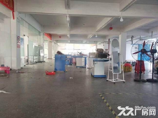 番禺石基镇附近，离南村一公里新出制衣厂1500方，价格便宜 - 3