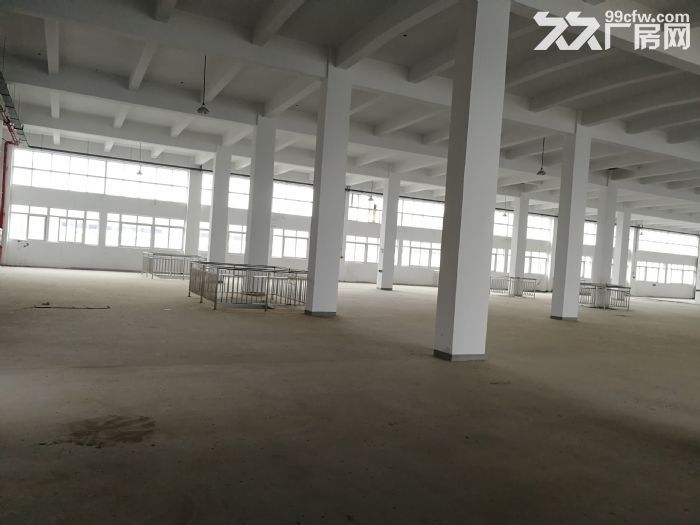 V将军大道旁边出租2200平可以分租1100平 有2部货梯 - 3