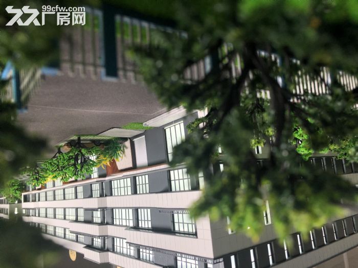 嘉兴平湖新埭镇稀缺厂房邻上海厂房出售2124平标准厂房可注可按揭 - 6