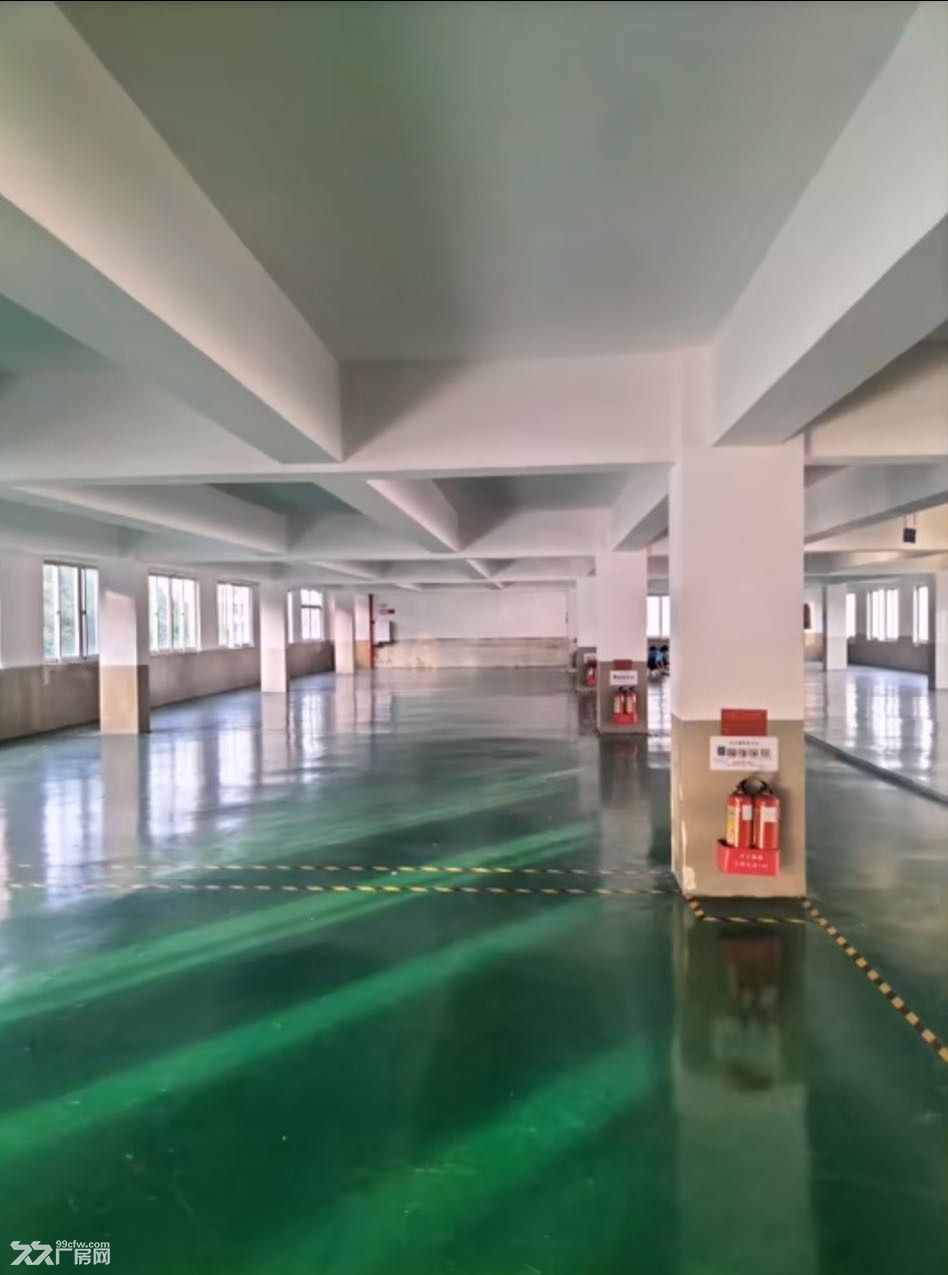 珠海金湾原房东厂房仓库出租形象好空地大独院独栋近高速口 - 4