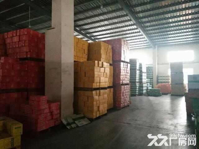 西丽老火车站附近,新出一楼钢构厂房,1000平低价出租,交通便利,空地大 - 3