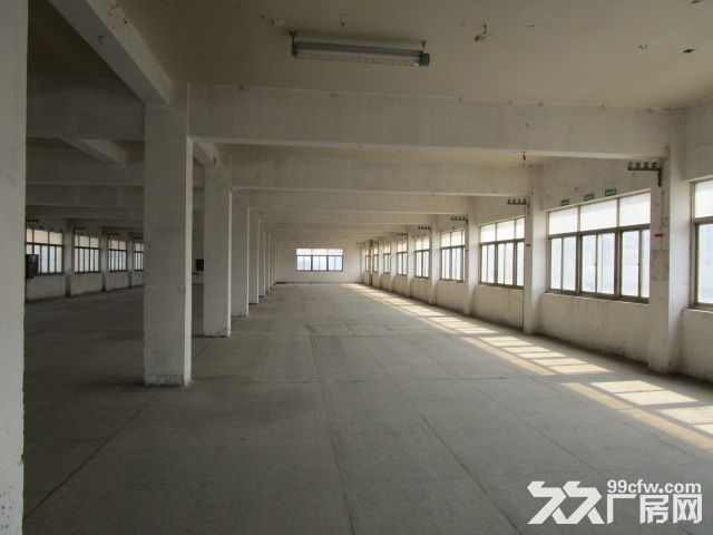 西兴好房招租 仓储 淘宝办公 - 5