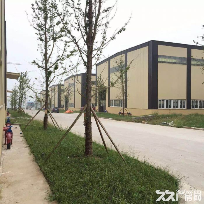 双福标准单层厂房出售