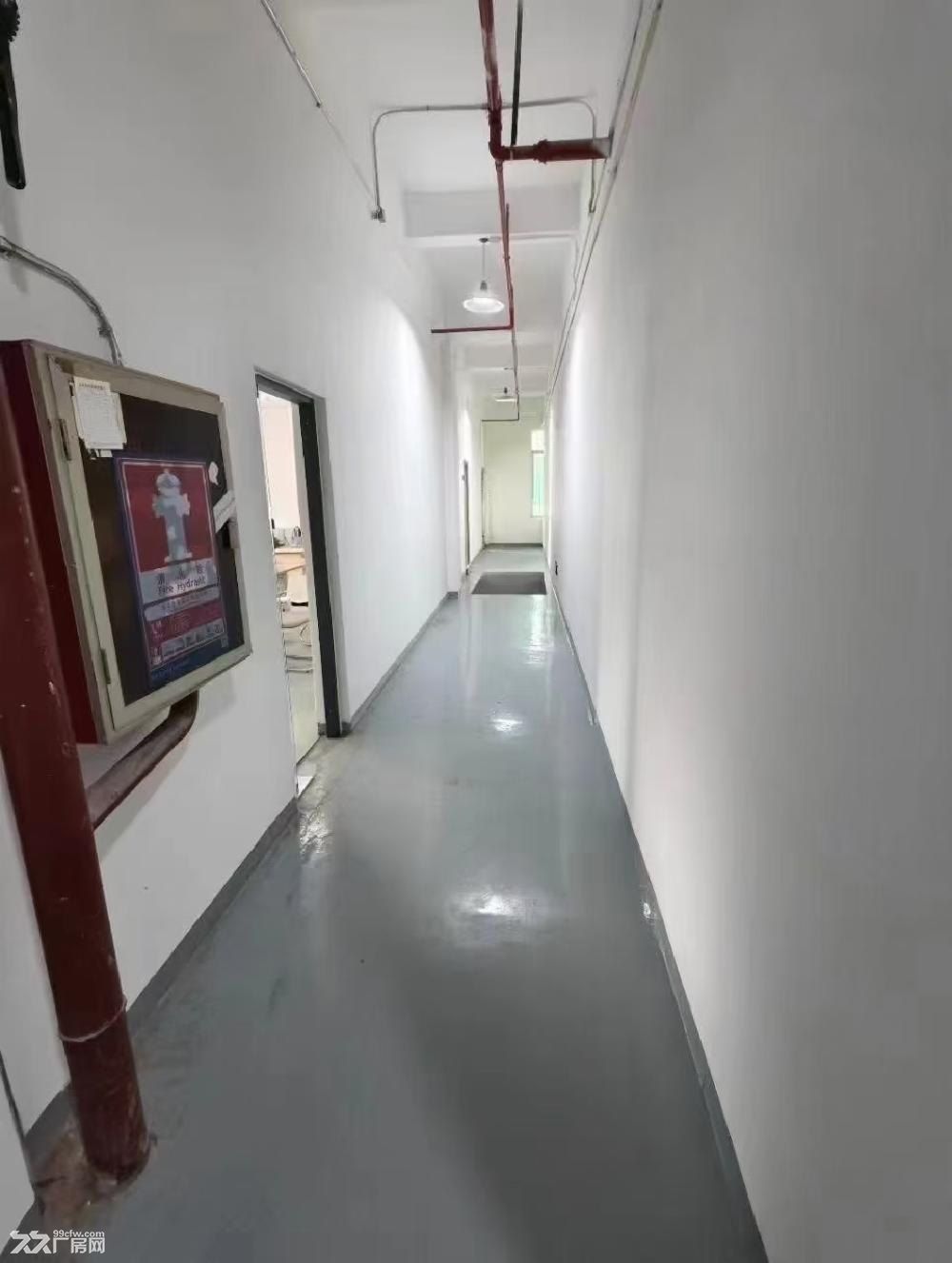深圳福永福海地铁口边精装修楼上整层2000平方厂房出租· - 3
