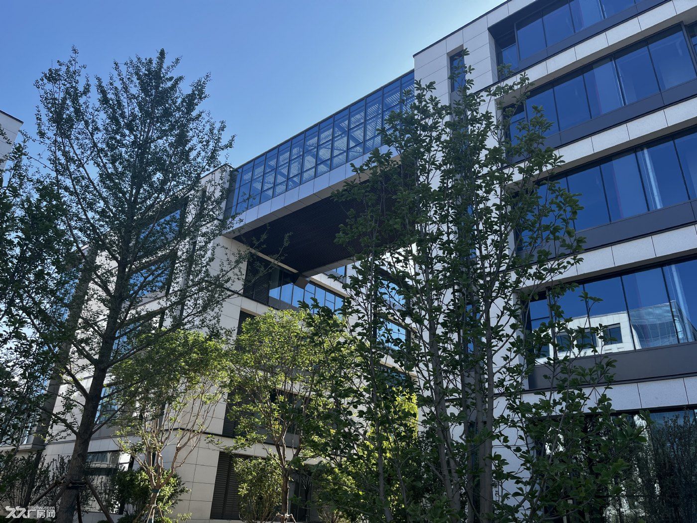 一层生产研发办公一体厂房出租,国有土地 - 5