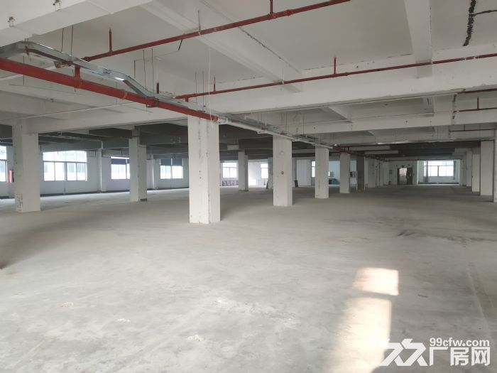 西丽大学城地铁口 创新高新园一楼370平厂房办公室直租 - 3
