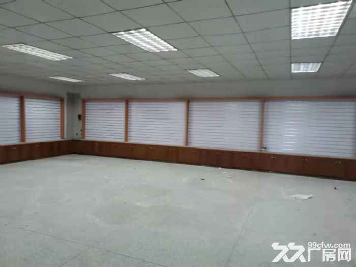 江门台山水步3000平方独院标准厂房招租 - 4