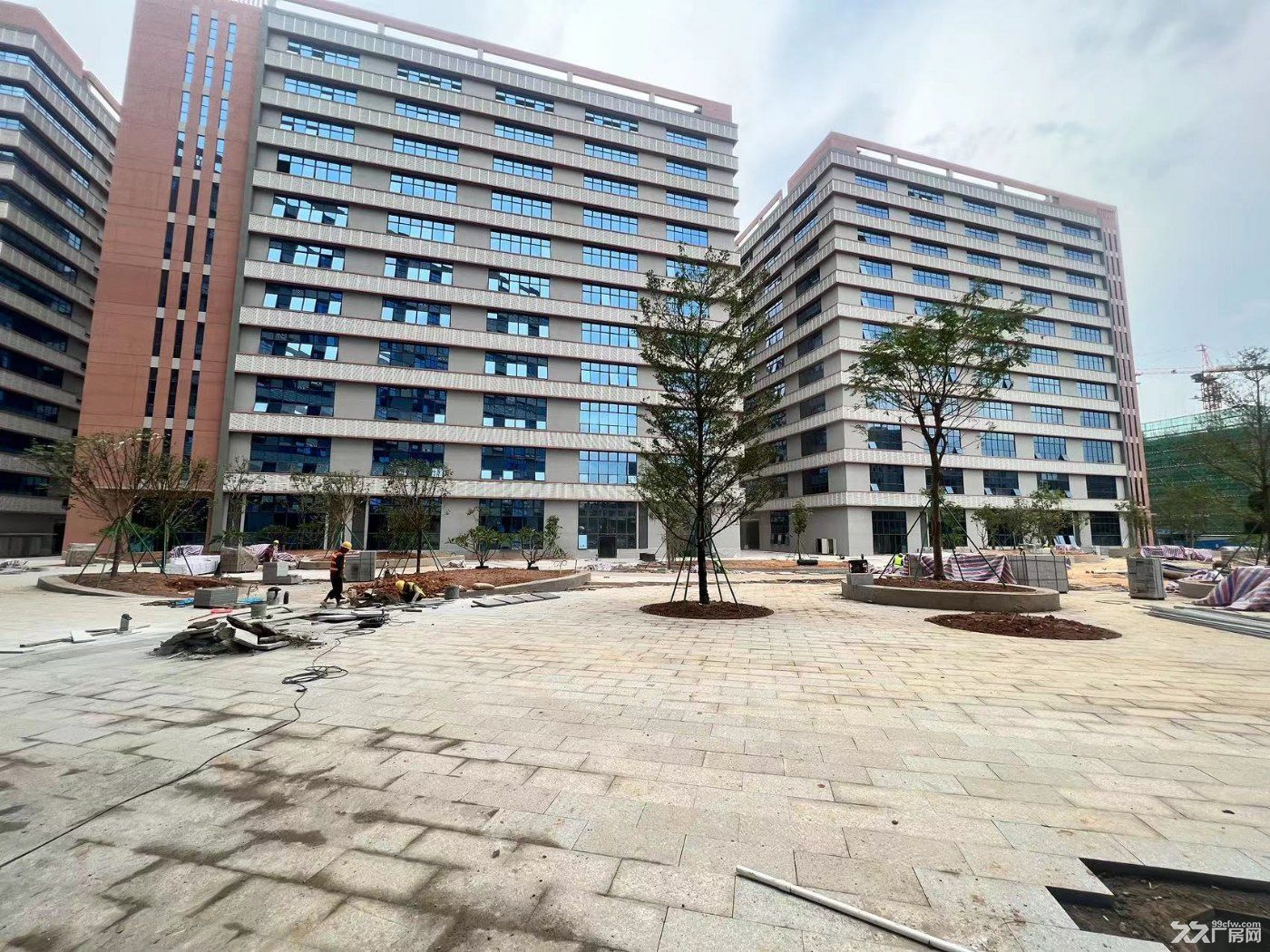 顺德杏坛全新带丙二类消防厂房出租 - 2