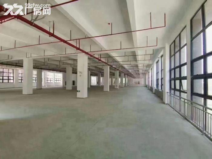 深圳松岗高速出口原房东红本高新产业园研发厂房优惠招租 - 3