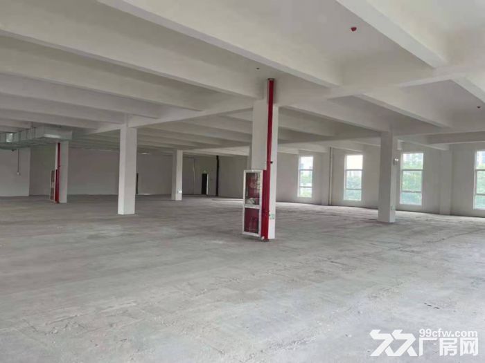 火(可租可售)标准厂房特惠出售 配套酸洗 电镀 一成首付 - 4