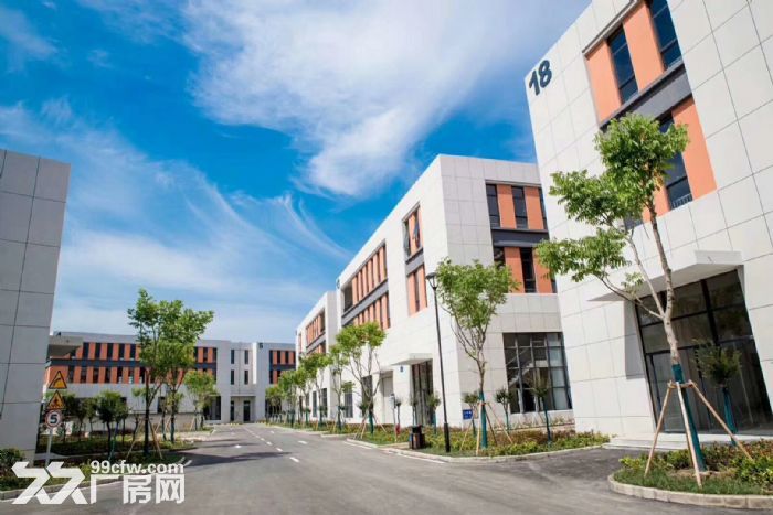 巴南国际生物城 50年产权独栋框架结构出售 低首付 可贷款十年 - 3