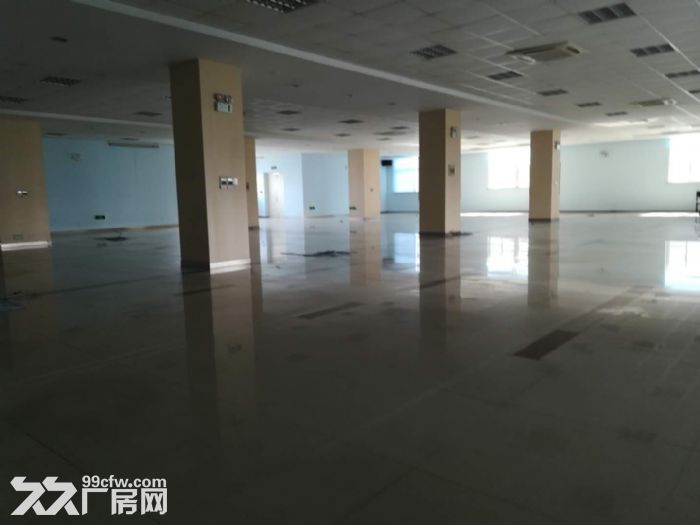 A唯亭10000平厂房出租 有行车 位置好 - 4
