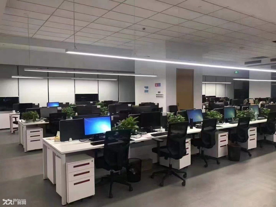 精装修办公场地，政府园区，交通便利，政策优惠 - 5