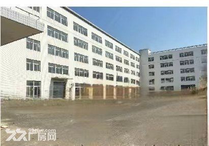 珠海金湾三灶厂房独院厂房占地29亩建筑35600平方诚心出售 - 5