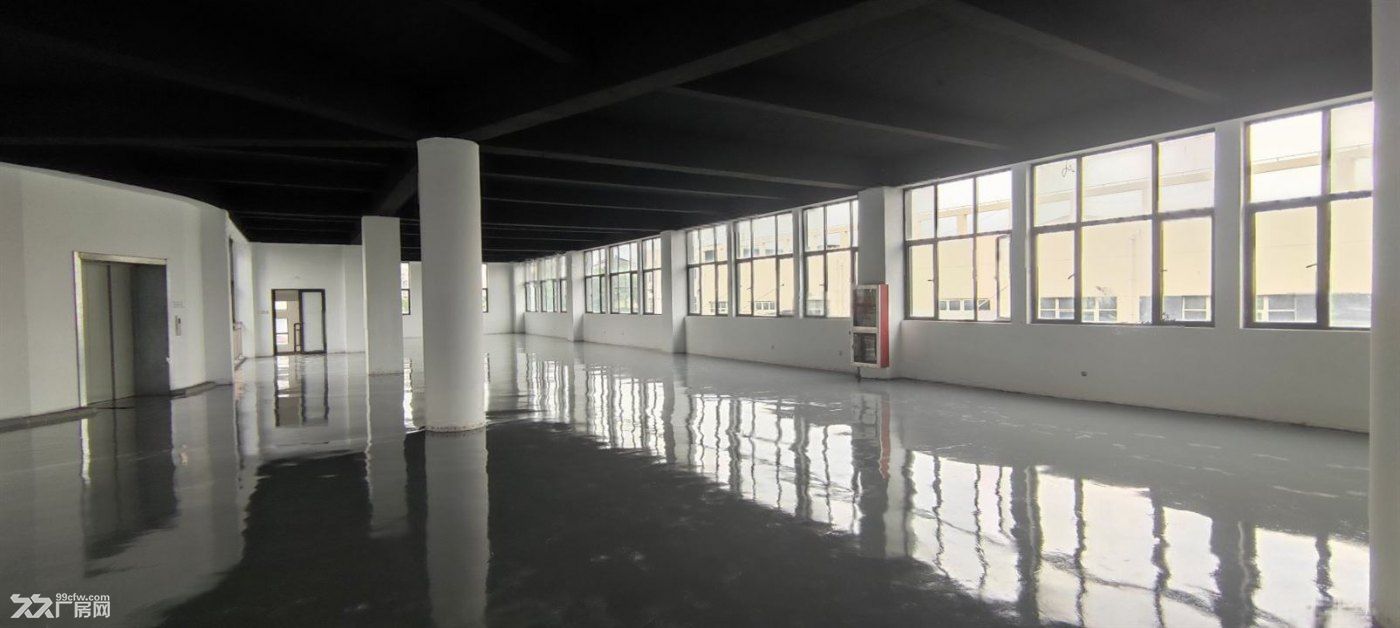 浦江电商仓库整层380平,200平价格优惠鞋服展示办公用品店 - 7