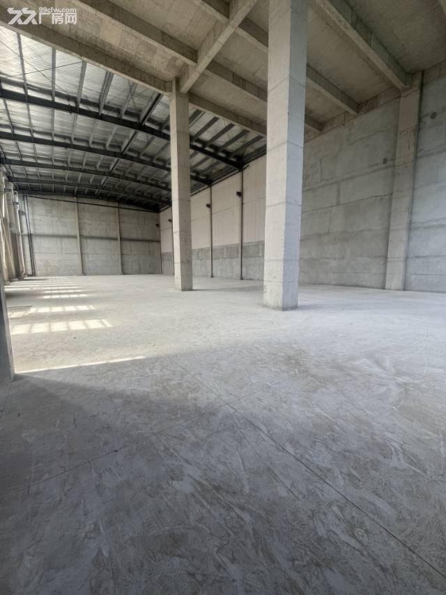 独门独院 全新厂房 交通便利 首付2成 可按揭 - 2