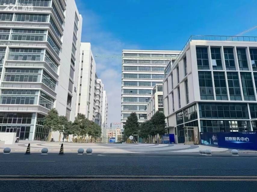 东莞大朗工改工,独立红本,50年产权,30万标准厂房大小可分 - 3