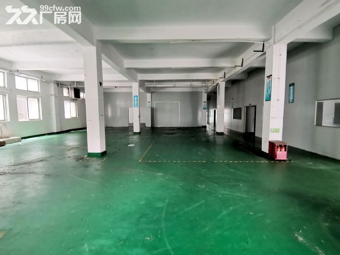 观澜环观南路边一楼精装厂房1100平,高5.5米,带办公区、地坪漆,停车免费 - 4