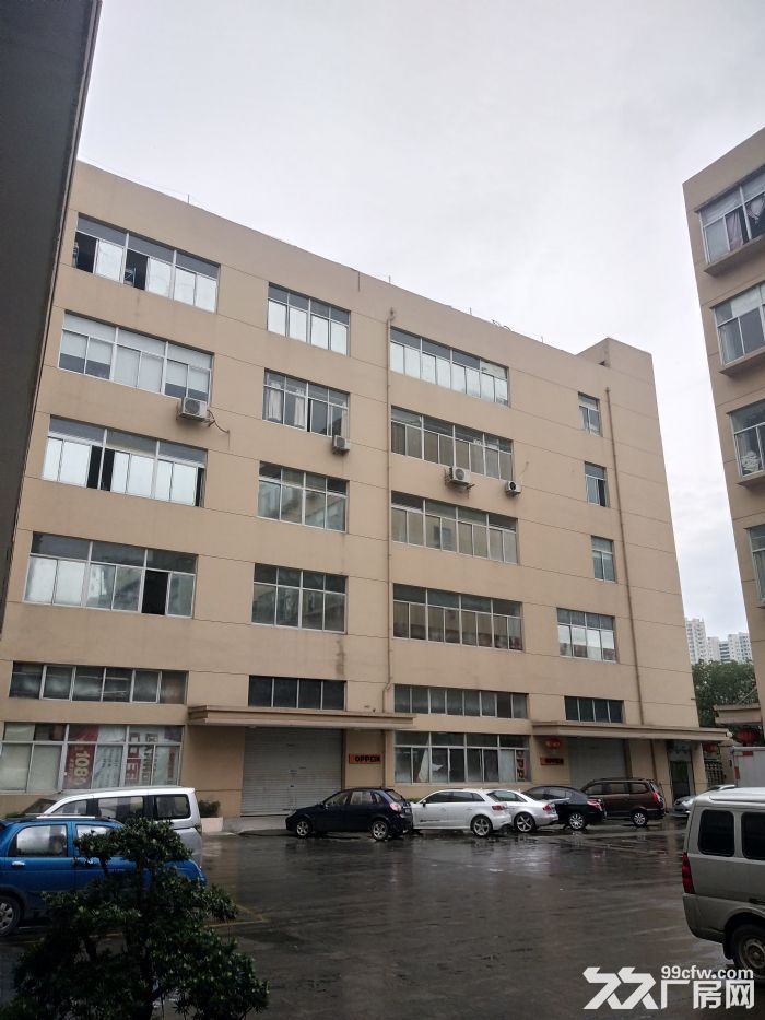 炬光园1700平方,适合轻工,生产,有需要联系