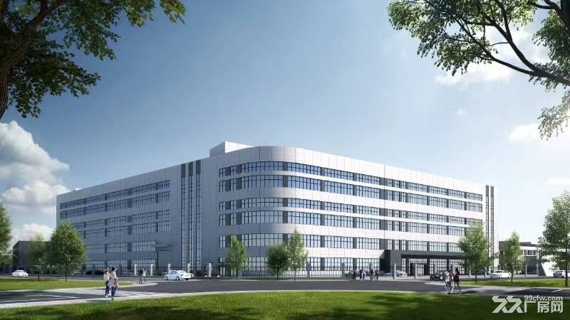 南太湖新区龙溪街道全新6万平方米高标厂房招商出租 - 3