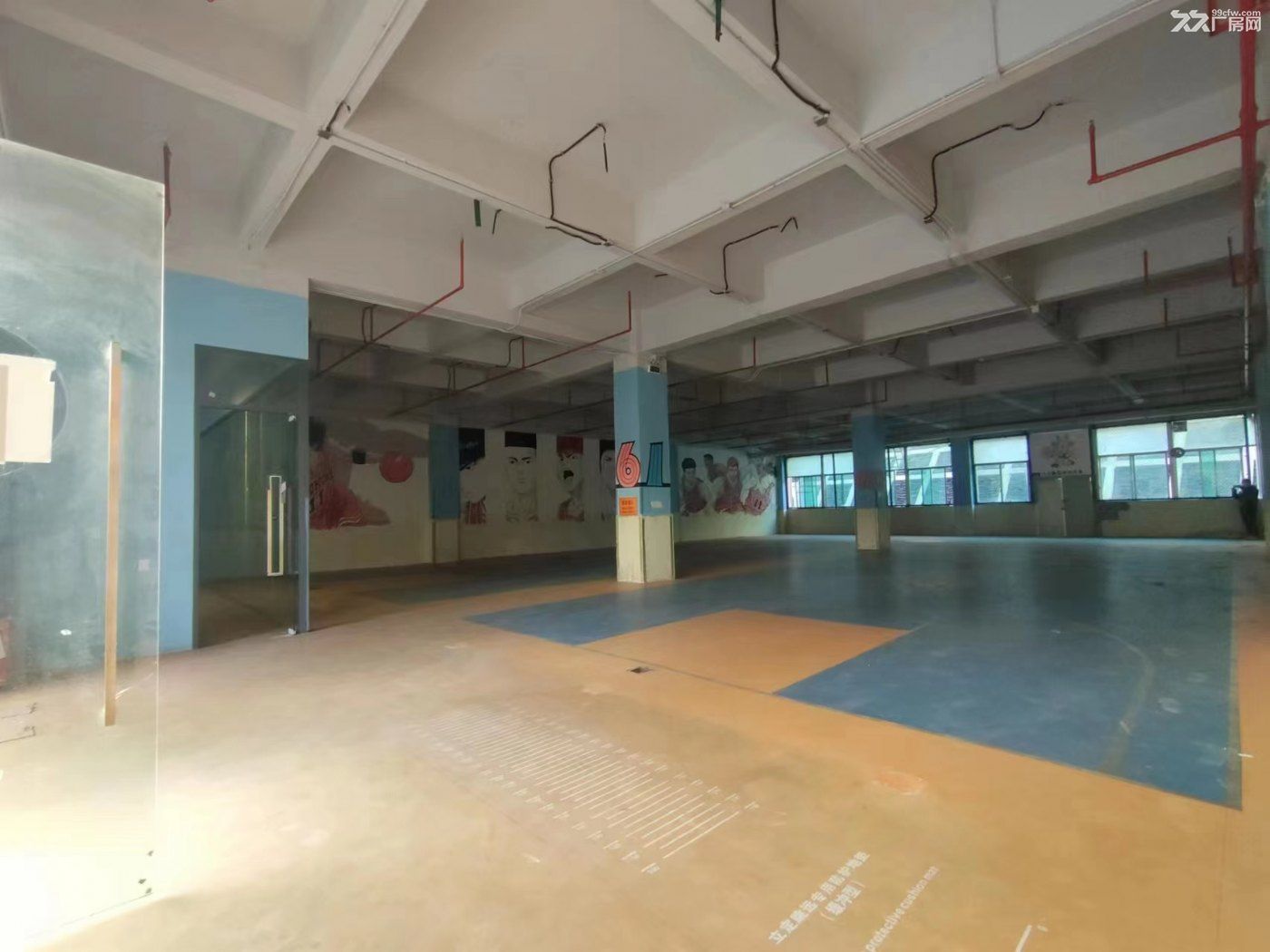 龙华新出一楼760平厂房出租 - 6