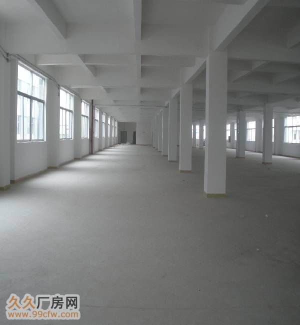 龙岗南联一楼正规厂房600平方米和800平方米出租 - 5