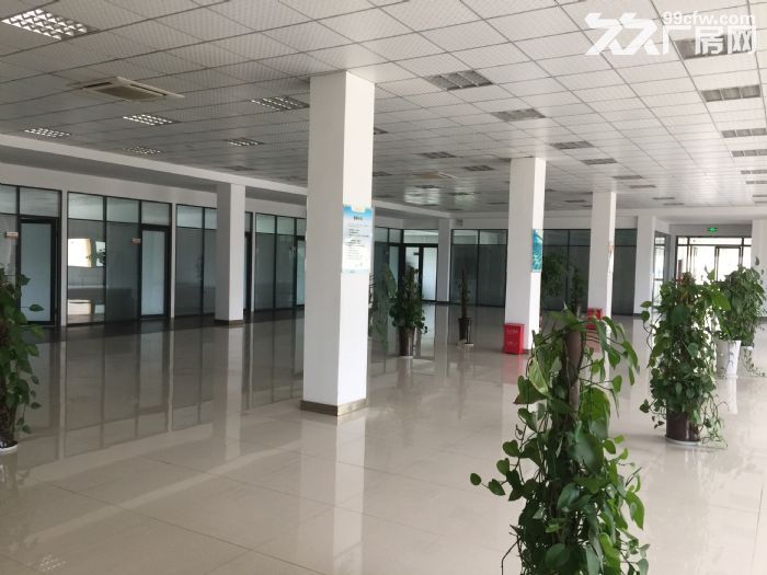(出租) (出租) 永兴镇金发科技厂房仓库办公一体化工业园 - 2