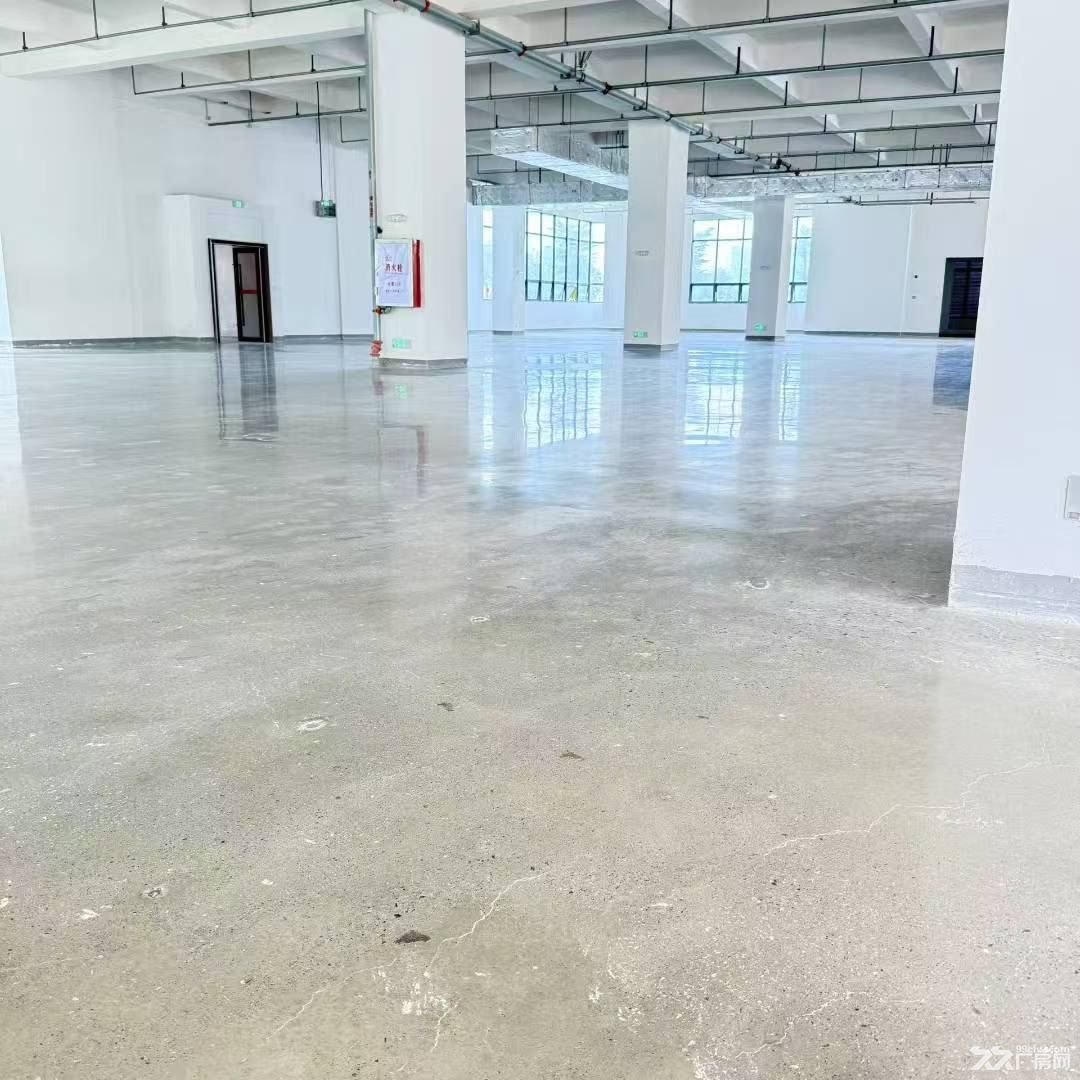 7元/平方,水口原房东高端产业园招商 - 2