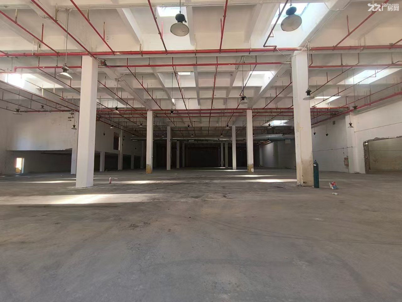 黄埔区开发西区13元起一平方工业厂房出租