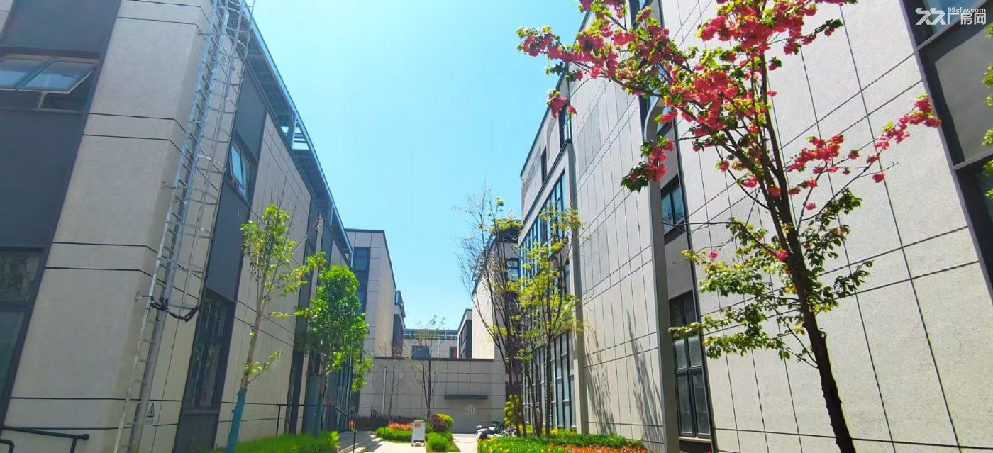 呈贡马金铺 现房厂房出售2000平跨度40米 首付三成 - 5