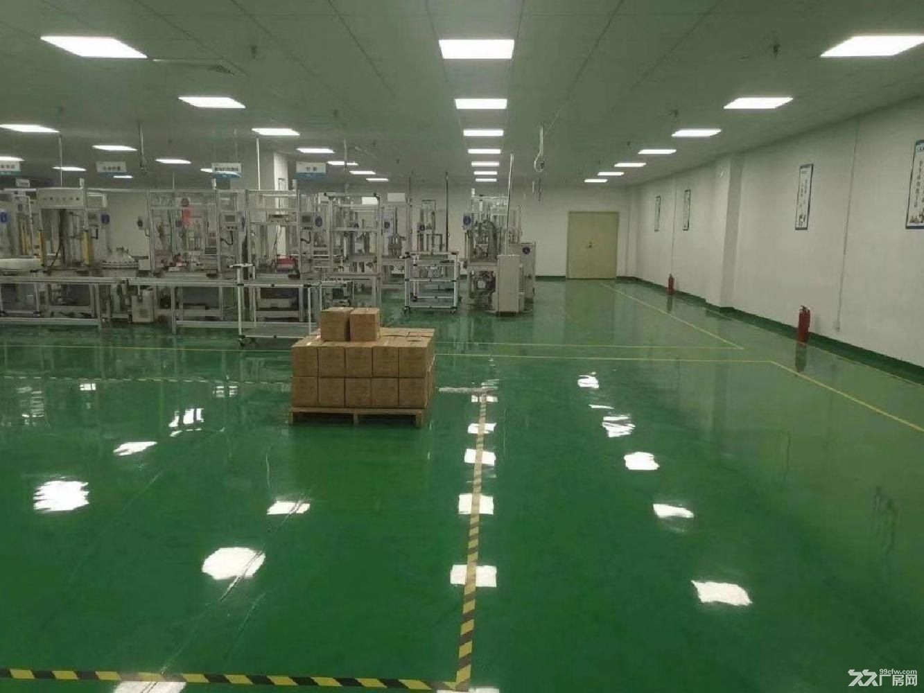 深圳沙井原房东红本独院23000平厂房仓库出租 - 6