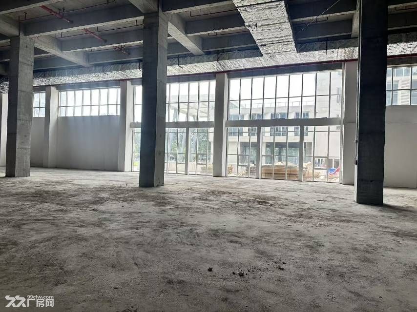 黄埔主干道旁标准研发厂房一层一证 - 2