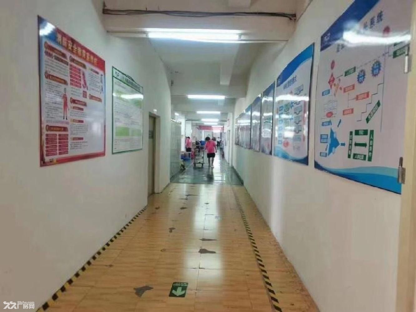 深圳布吉厂房出租可分租,交通方便环境好租金12元w - 7