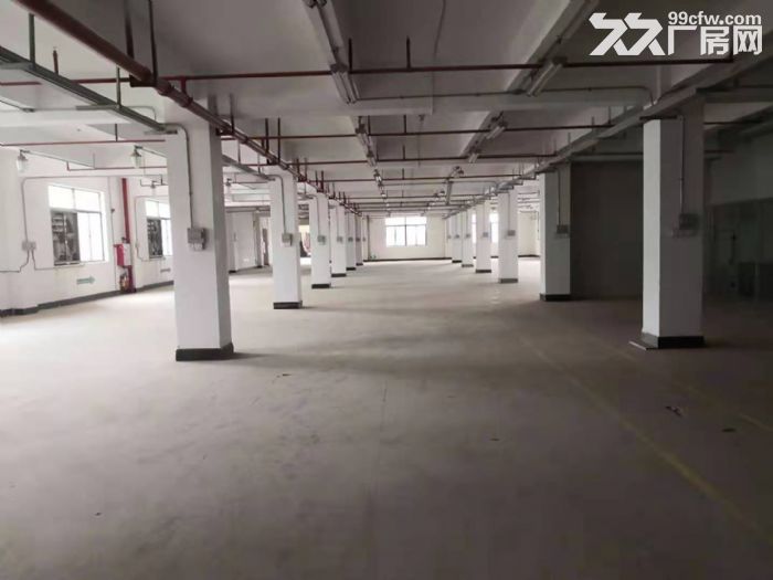 惠州市水口大型工业区标准一楼1700平方低价出租 - 4