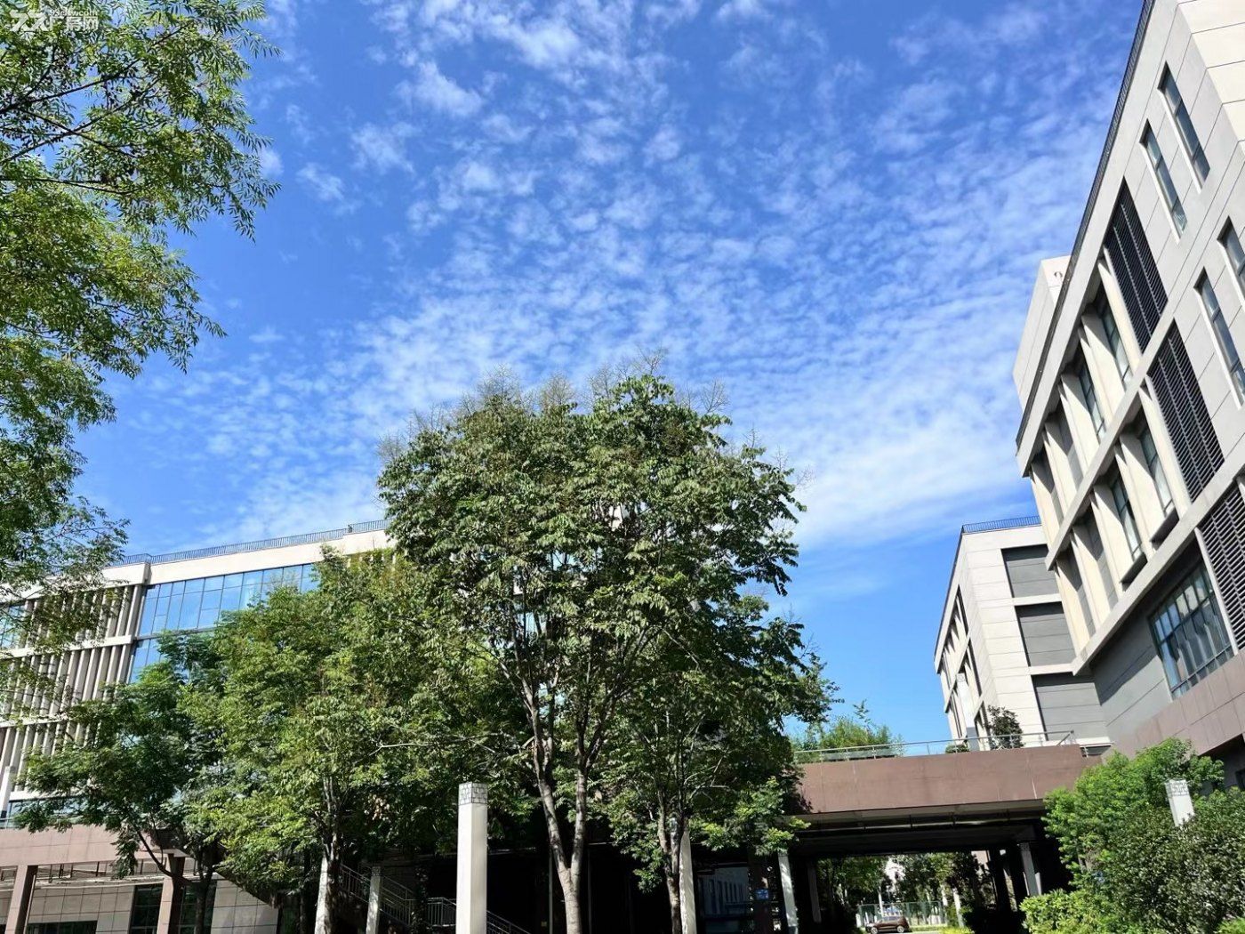 高新区墅级产业园火热招租中 - 6