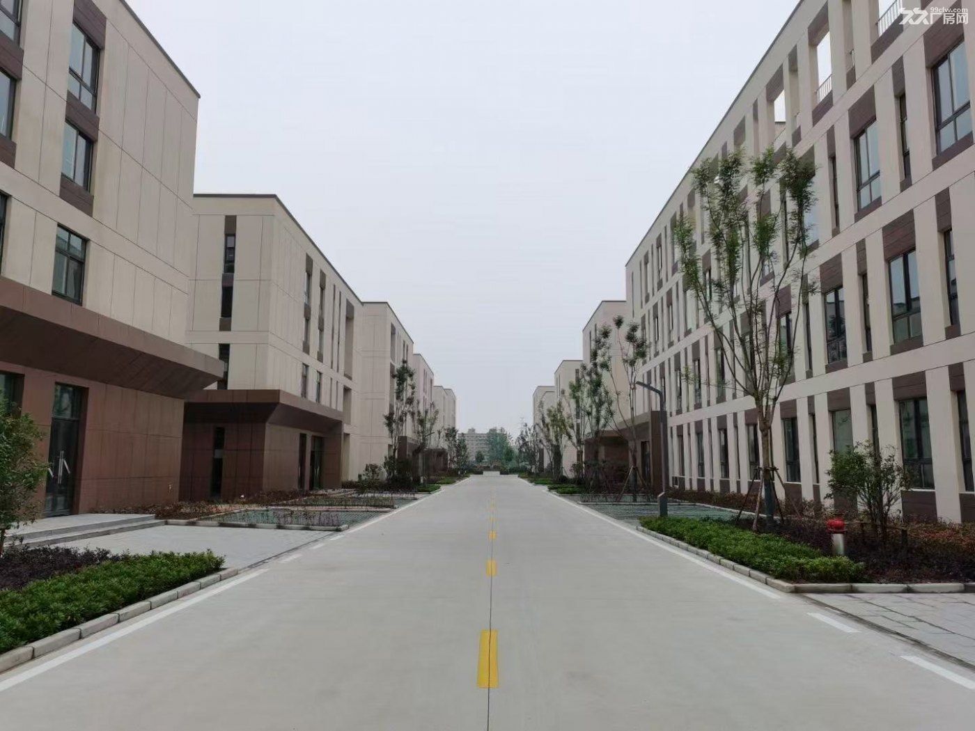 市中心 厂房 出售 低总价 低首付 低成本 做自己的房东 - 2