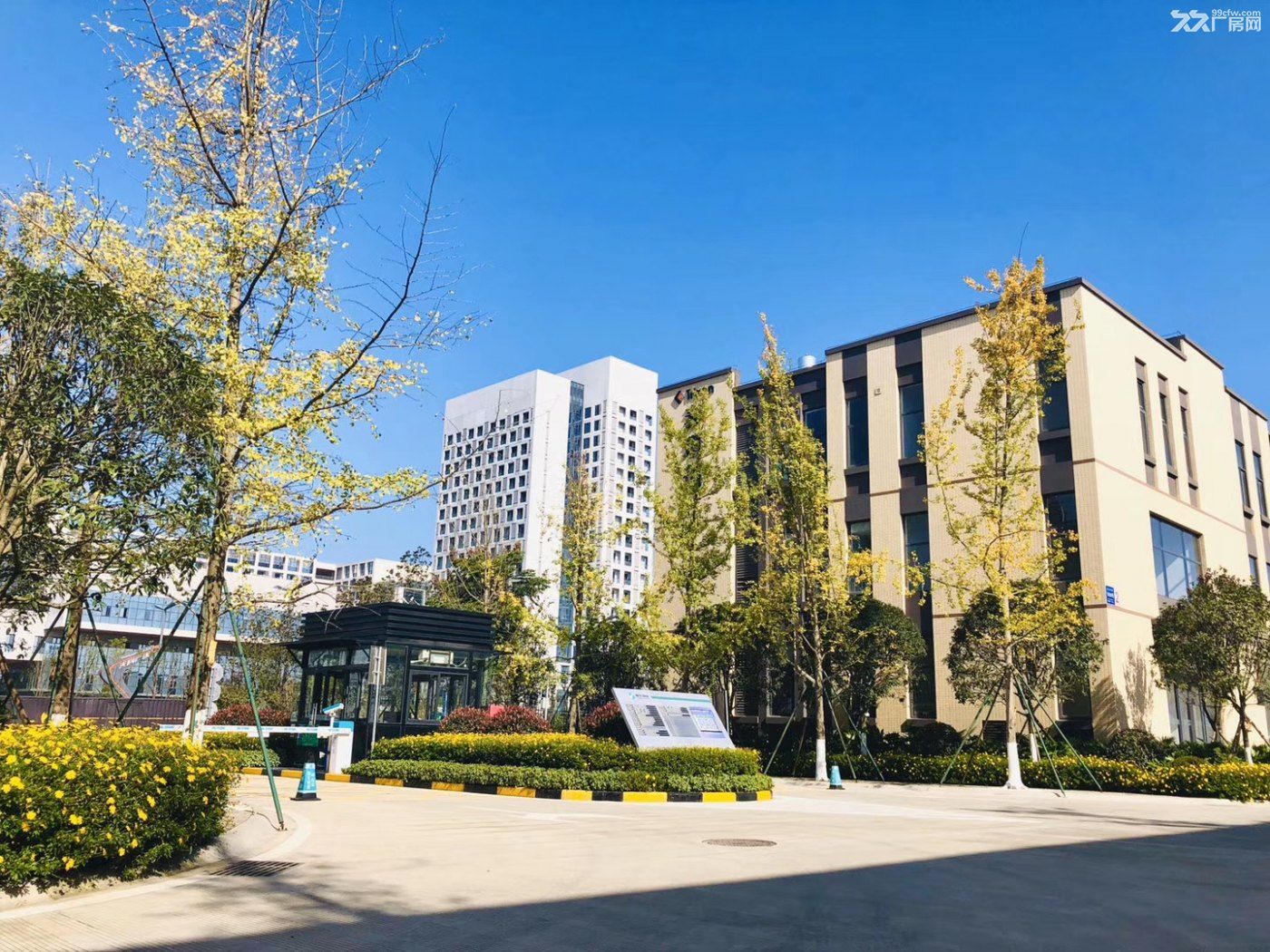 出售双流50年独立产权框架厂房，电子智能制造入 - 4