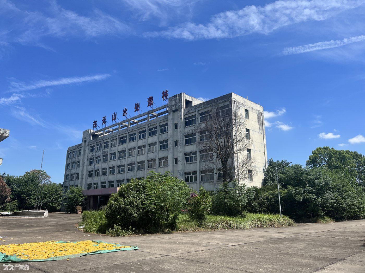 荆州公安 青吉工业园内28300㎡ 厂房出售 独院 有蒸汽 可环评 - 2