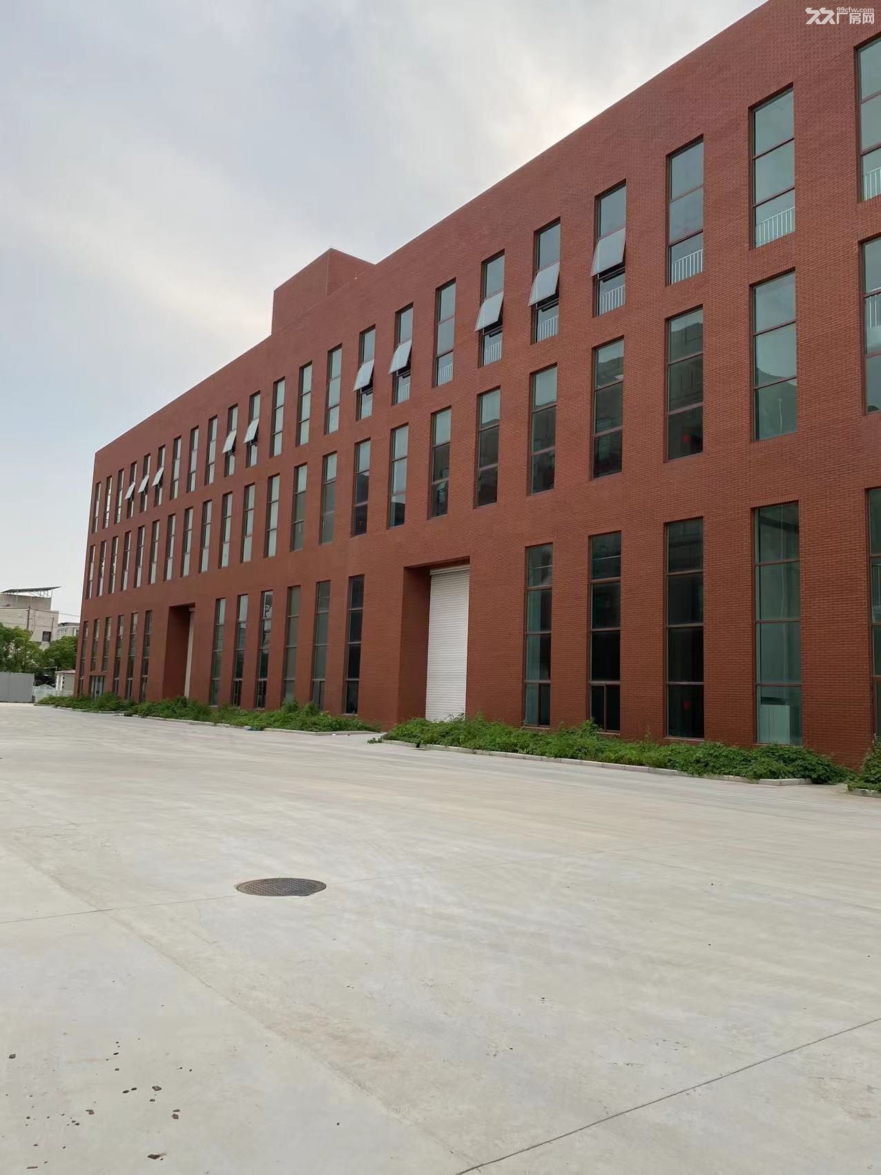永兴厂房出租20000m² 可分租 - 3