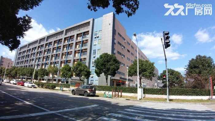 外高桥海关旁,高规格标准仓储,整层招租,可申请保税仓库 - 3
