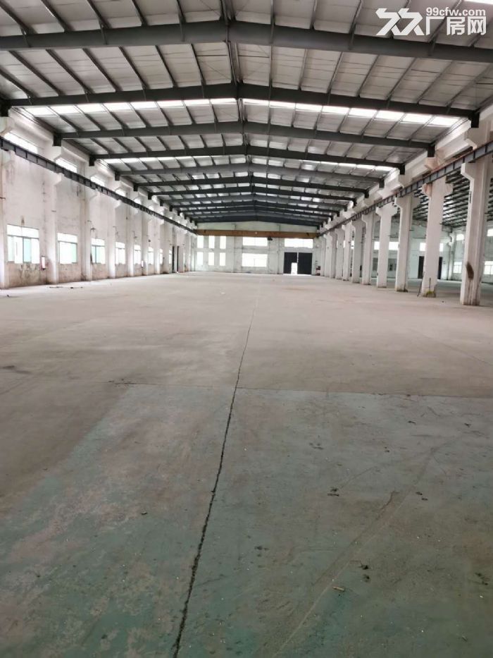 江门蓬江荷塘为民工业区独院单一层工业厂房5000平方招租 - 3