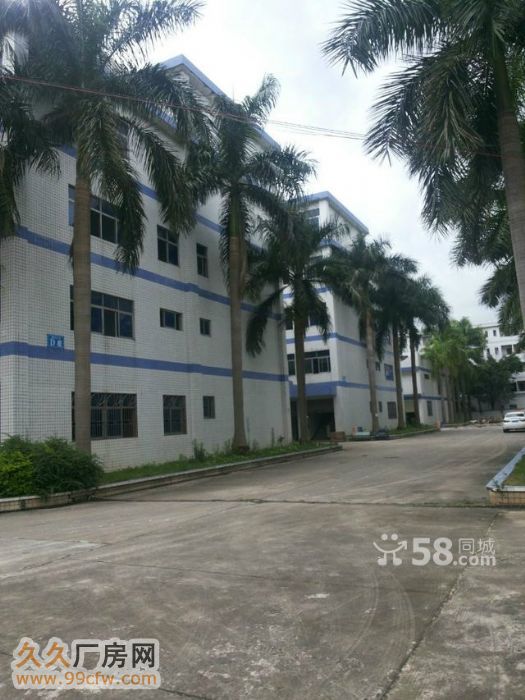龙岗新出楼上1000㎡精装修厂房出租