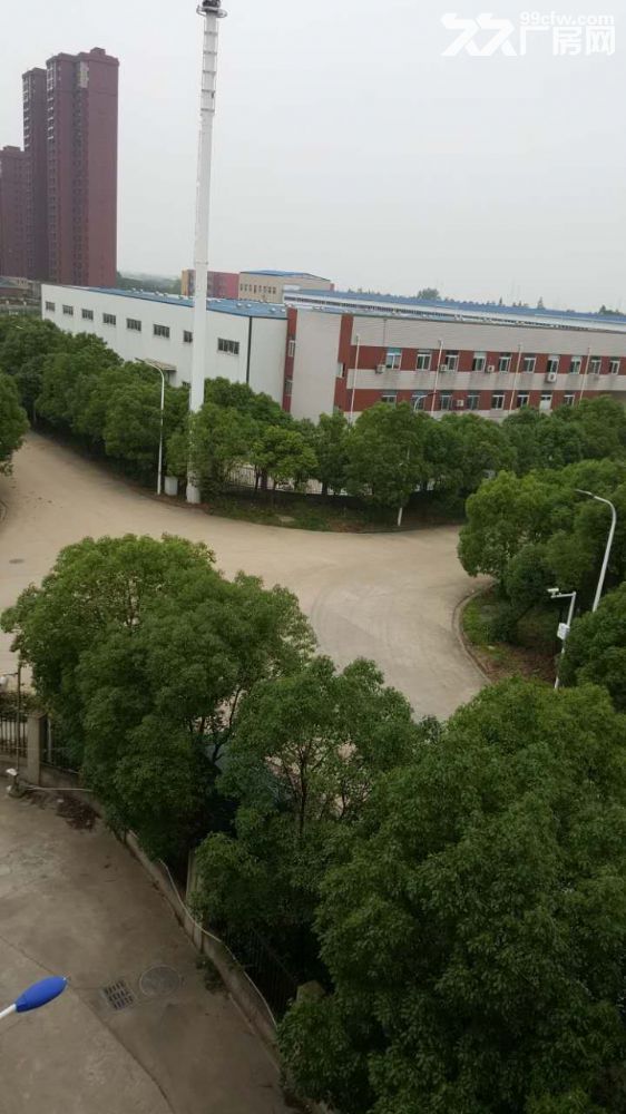 正规园区标准工业厂房优惠出租 - 3