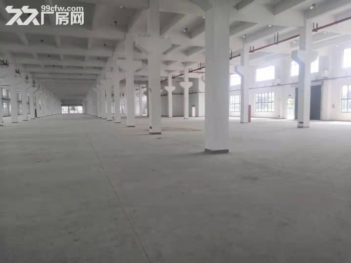AA苏虹西路独门独院10000标准厂房 可分租 - 2