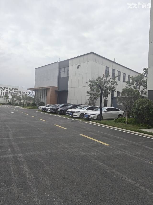 东湖高新区生物医药主题园区 独栋/分层厂房 带污水处理 - 4