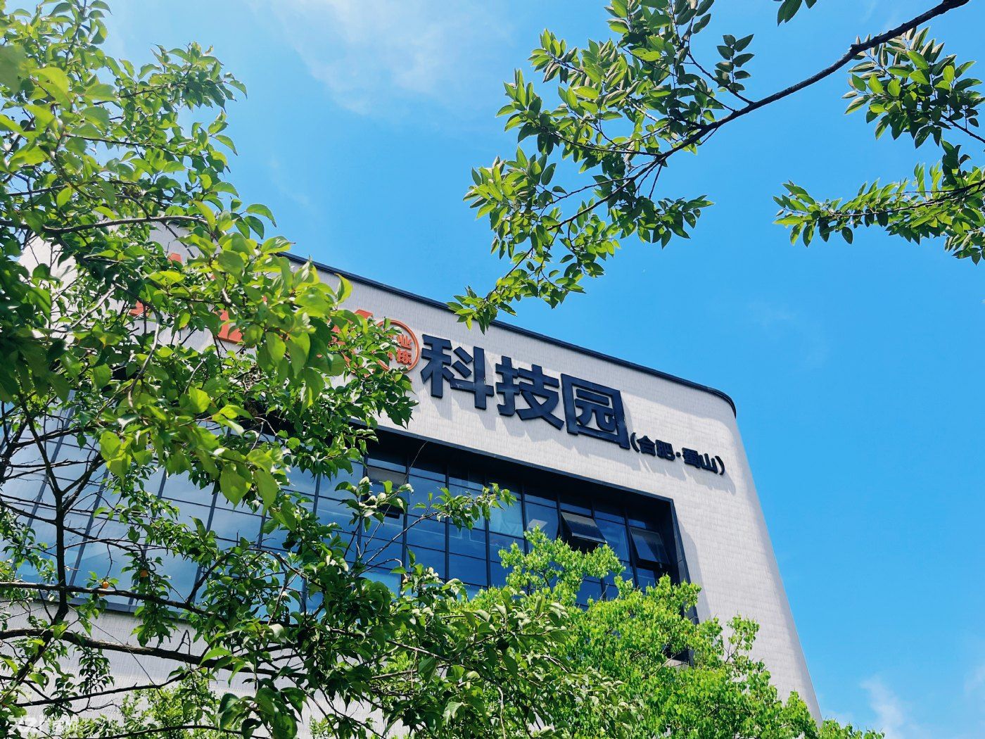开发商直销 500平市区产证独栋花园办公 四季花海旁