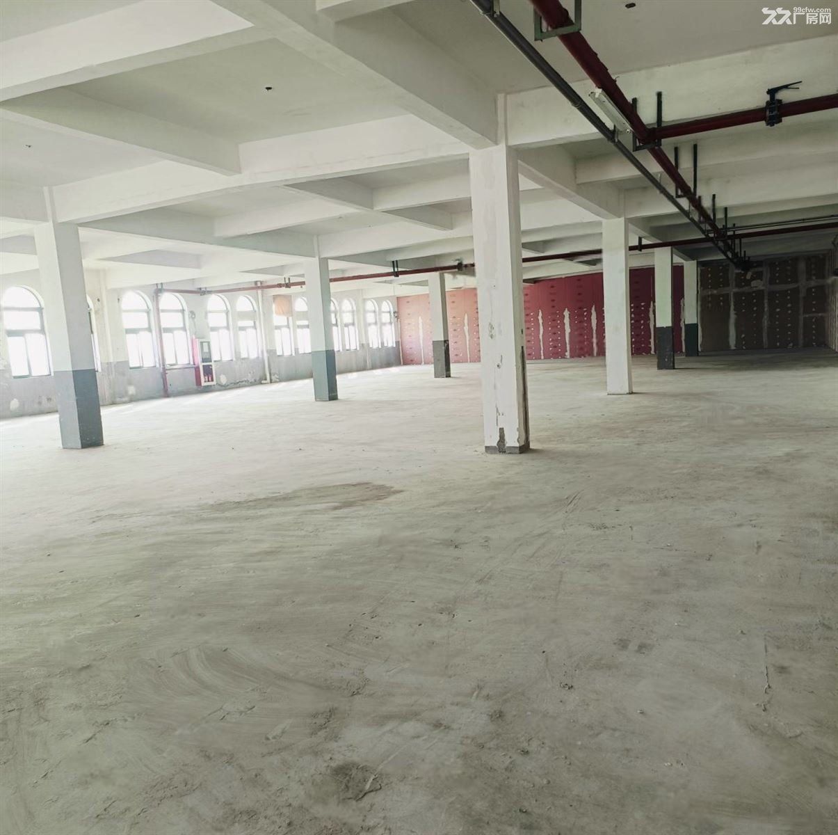 曹安公路东华环球附近新出单层厂房仓库出租大小好分割带宿舍 - 7