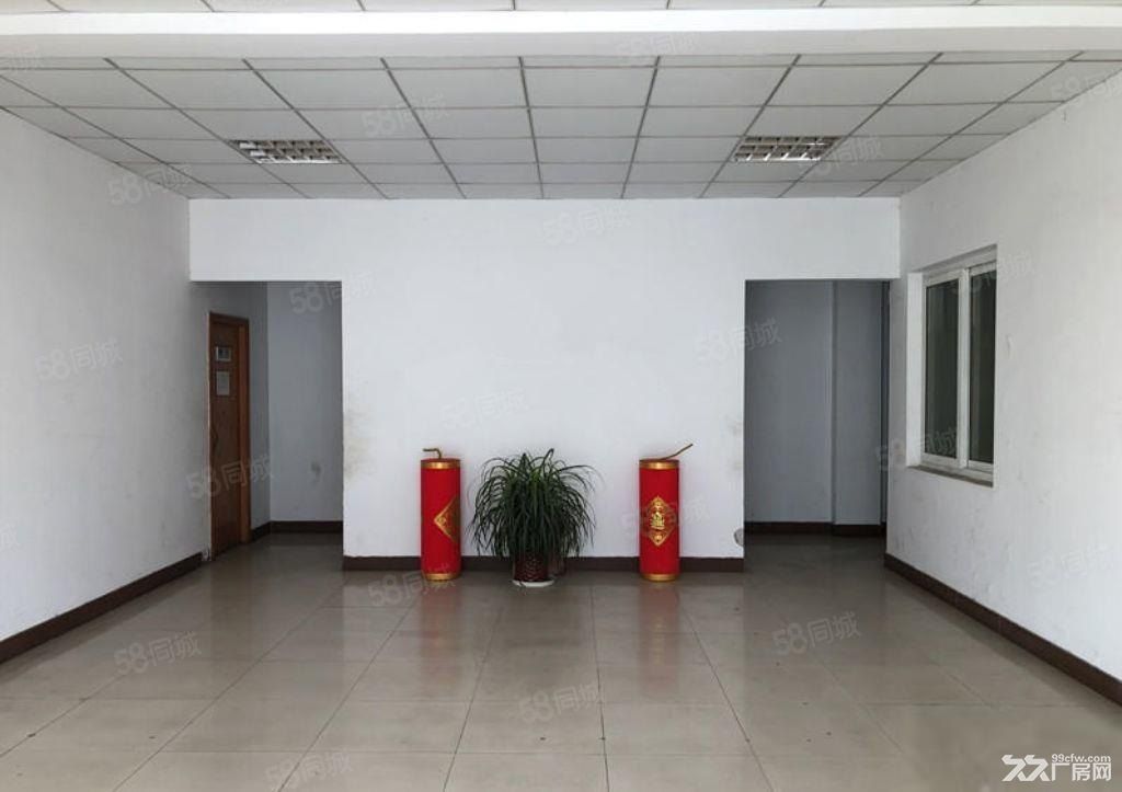 浦东张江南区独门独院单层厂房5100平 一手业主 主干道边 - 4