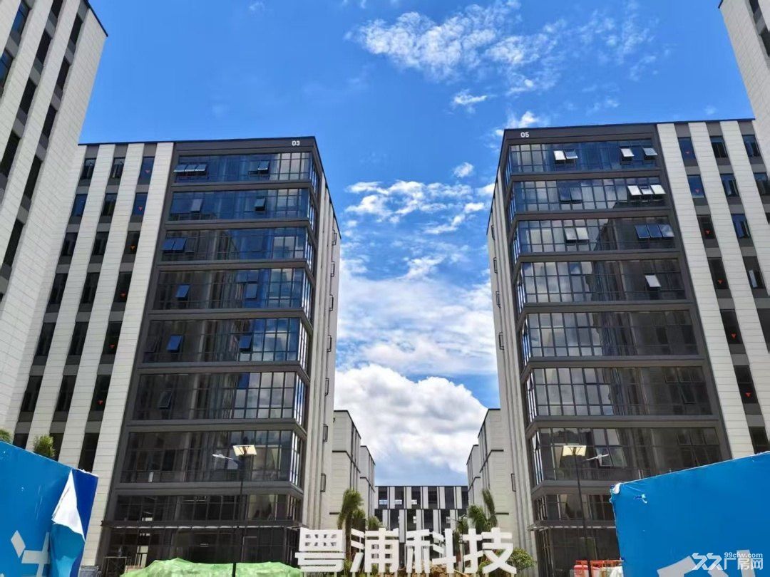 马尾自贸区全新厂房出租出售 - 2